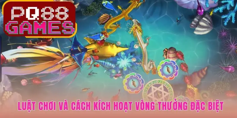 Hiểu rõ quy luật dòng tiền giúp kích hoạt vòng thưởng đặc biệt